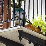 Appartement Le Alcove Cinisi